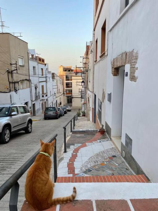 Villa Townhouse - Casa Rustica Entre Mar Y Montana à Alcanar Extérieur photo